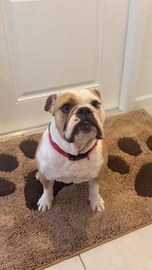 Instagram post by @thisisberrin