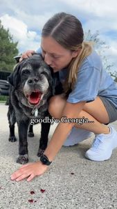 Instagram post by @the3retrievers