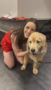 Instagram post by @the3retrievers