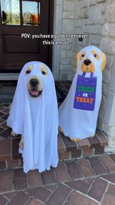 Instagram post by @the3retrievers