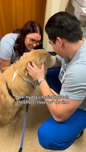 Instagram post by @the3retrievers