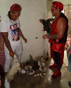 Instagram post by @dadecountytarzan