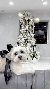 Instagram post by @mg_home_decor_