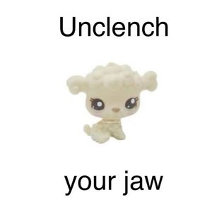 Instagram post by @koolieclone