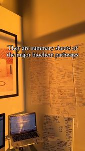 Instagram post by @ohhaidoreen