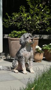 Instagram post by @x.christinelee