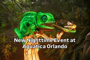 Instagram post by @fastpass_shopping