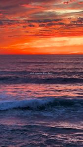 Instagram post by @theasiangirlthatcud