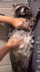 Instagram post by @peachesanddiesel104