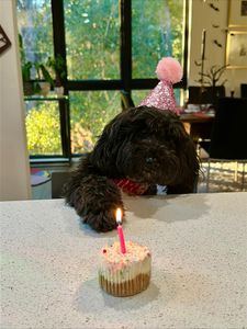 Instagram post by @redb15