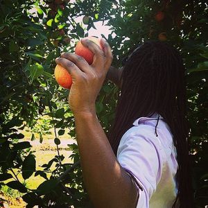 Instagram post by @apshantology