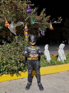 Instagram post by @organicappetite