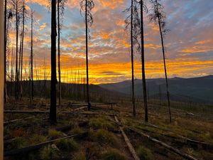 Instagram post by @cody__monroe