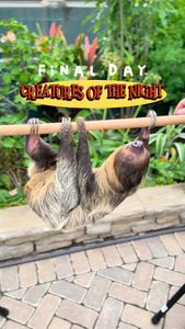 Instagram post by @chicago.mama