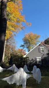 Instagram post by @filmbychloeg