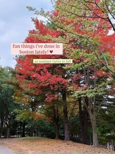 Instagram post by @filmbychloeg