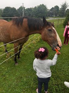 Instagram post by @marquise_fitlifestyle