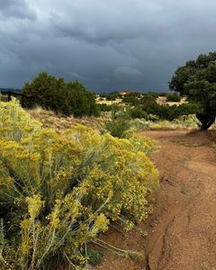 Instagram post by @johnice.katz