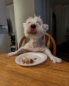 Instagram post by @ashleym_fitfoodie