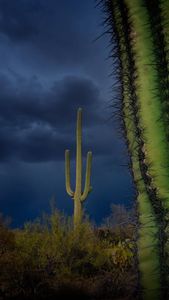 Instagram post by @andrew.studer