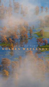 Instagram post by @andrew.studer