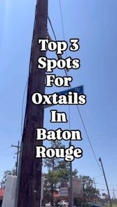 Instagram post by @that_guy_with_the_fork