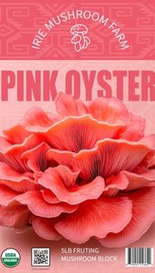 Instagram post by @mama.dut.foods