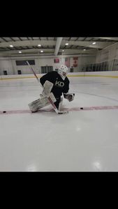 Instagram post by @kdgoaltending