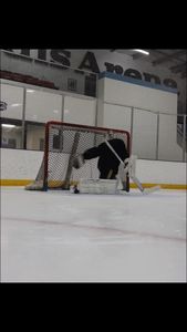 Instagram post by @kdgoaltending