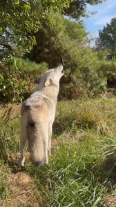 Instagram post by @indy.family.fun