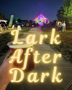 Instagram post by @indy.family.fun