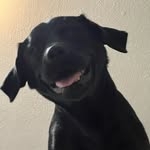 @mutchmayhem Instagram Profile