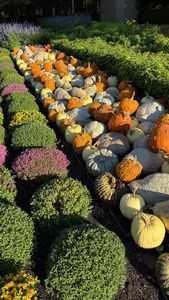 Instagram post by @_king_of_kings_25