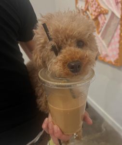 Instagram post by @kocembaaa