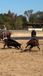 Instagram post by @rayanaragan