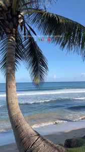 Instagram post by @thepuertoricanmama