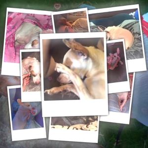 Instagram post by @infinite_britt