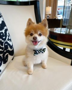 Instagram post by @spartacusmke