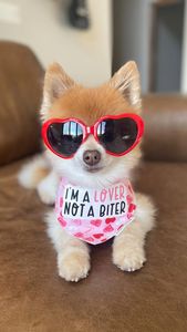 Instagram post by @spartacusmke