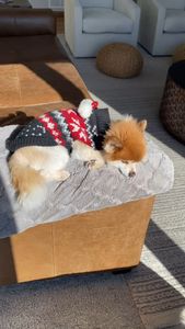 Instagram post by @spartacusmke