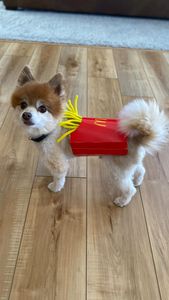 Instagram post by @spartacusmke