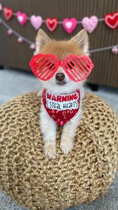 Instagram post by @spartacusmke