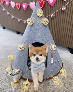 Instagram post by @spartacusmke