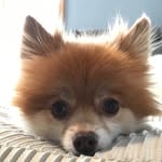 @spartacusmke Instagram Profile