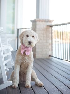 Instagram post by @beckyfkeller