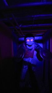 Instagram post by @rainesinthepnw