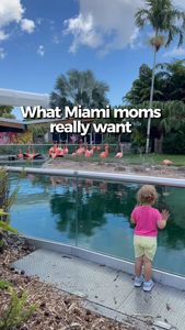 Instagram post by @momapprovedmiami