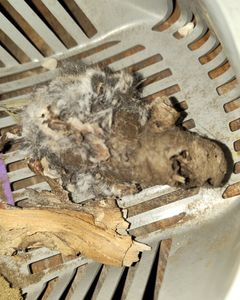 Instagram post by @outandaboutwithdiane