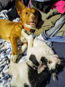 Instagram post by @outandaboutwithdiane