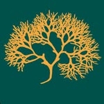 @hellahealthyllc Instagram Profile